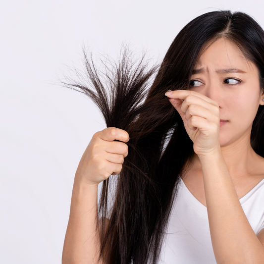 Die besten Tipps gegen trockenes und sprödes Haar
